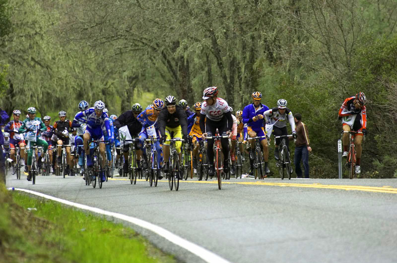 20080218-amgenTOC-531